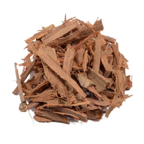 Acacia Confusa Root Bark | Avalon Magic Plants